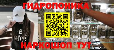гидра Бийск