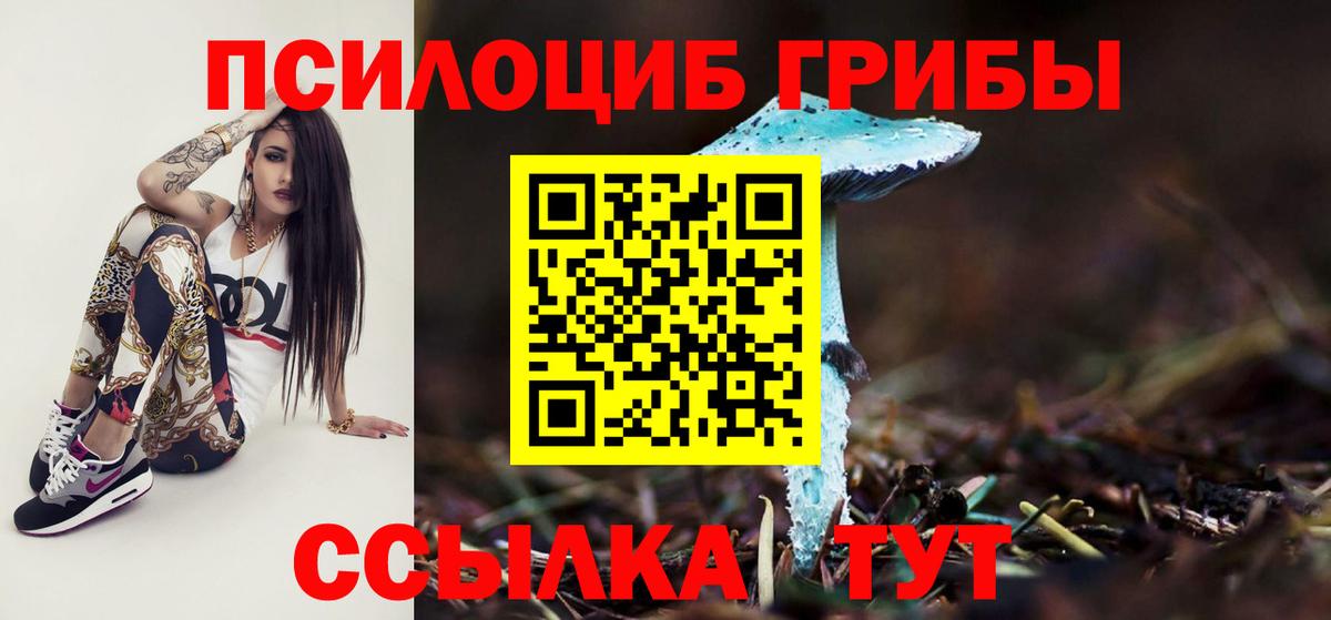 Когалым  Галлюциногенные грибы мухоморы  Вход с VPN 